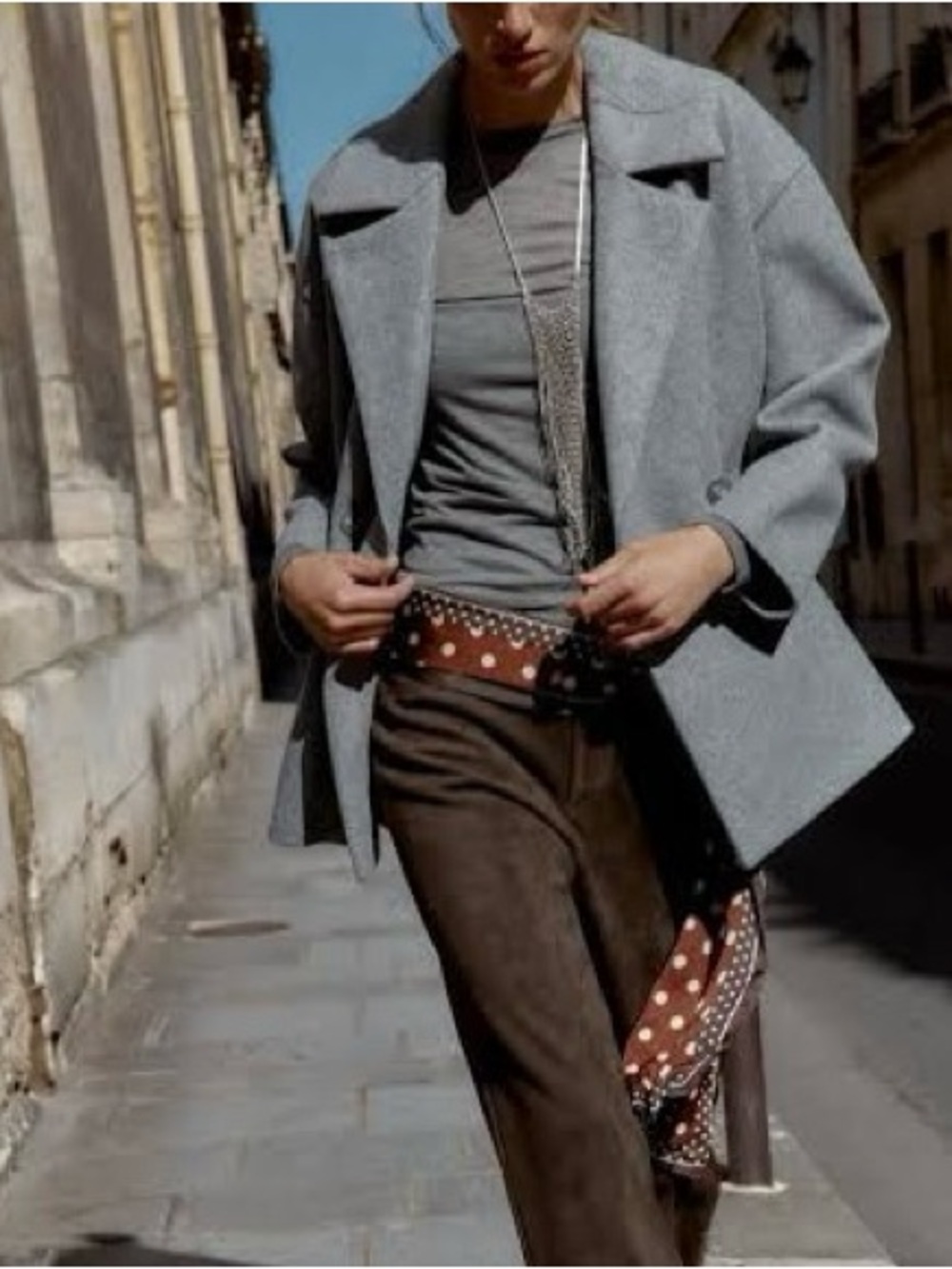 Zara Oversized Soft Double-Breasted Coat